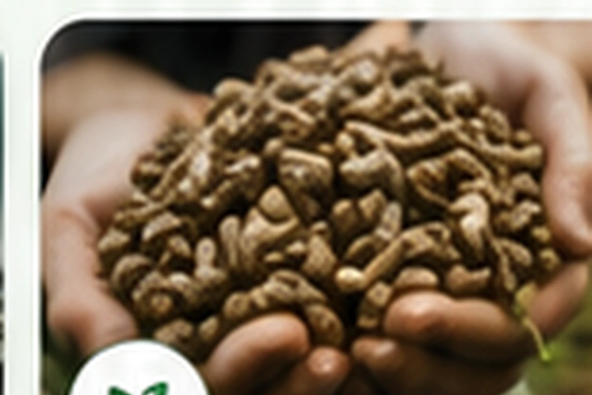 Biomass pellets