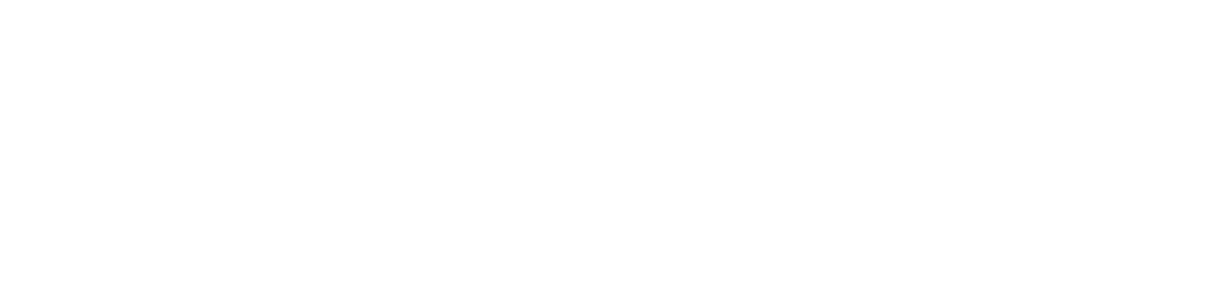 Veridian Global Advisory & Systems